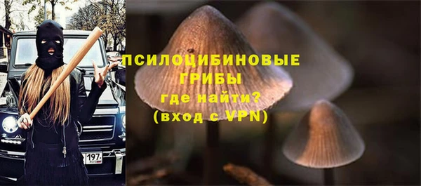 ПСИЛОЦИБИНОВЫЕ ГРИБЫ Верея