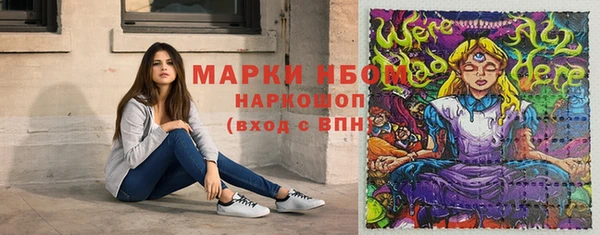 ПСИЛОЦИБИНОВЫЕ ГРИБЫ Верея