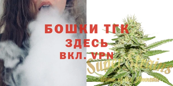 ПСИЛОЦИБИНОВЫЕ ГРИБЫ Верея